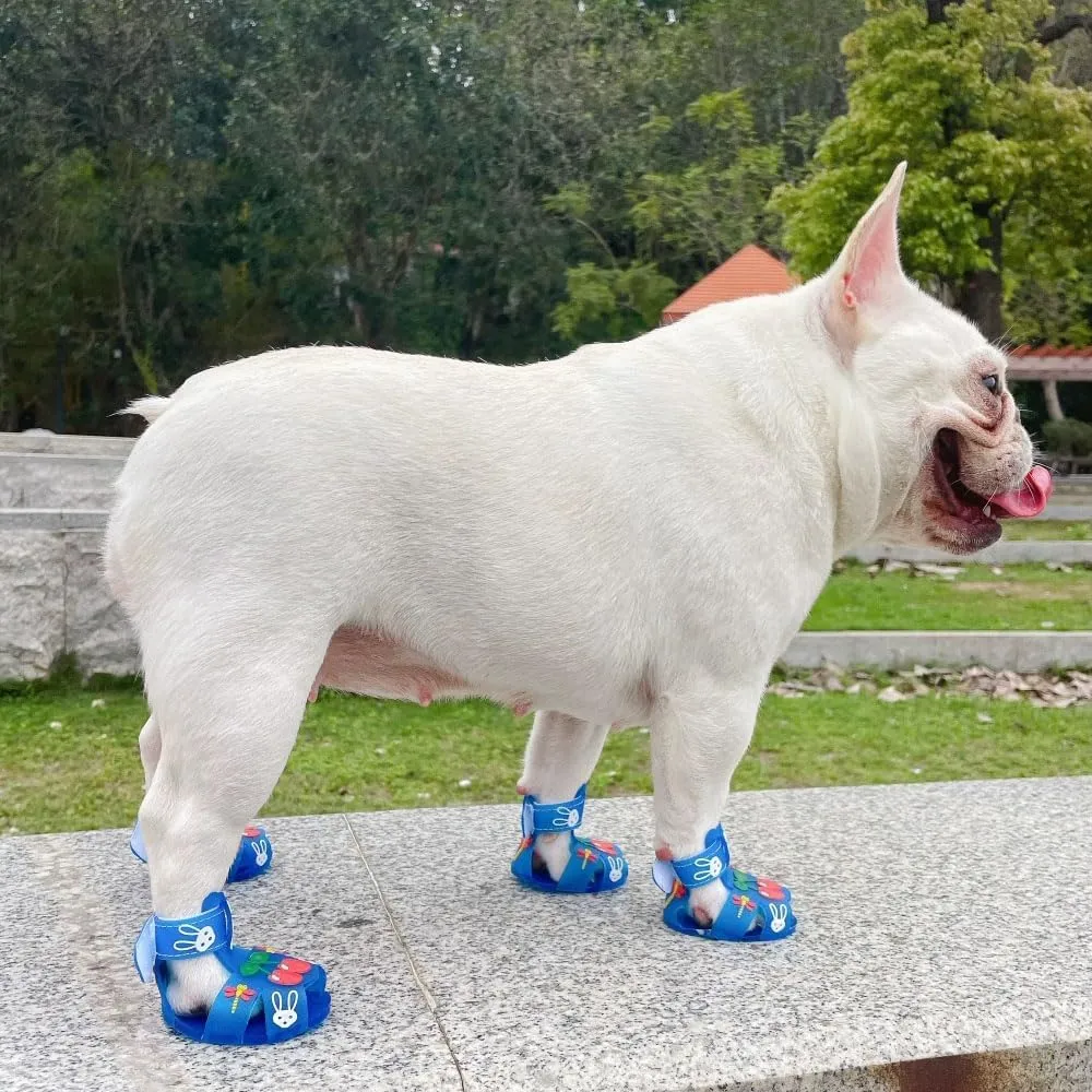 Cute Summer Dog Shoes Sweet Cherry Puppy Sandals Pet Jelly Shoes Flats, Dog Booties Paw Protector for Summer Hot Pavement (Candy Blue, #5: 2.56''x1.89''(Length*Width))
