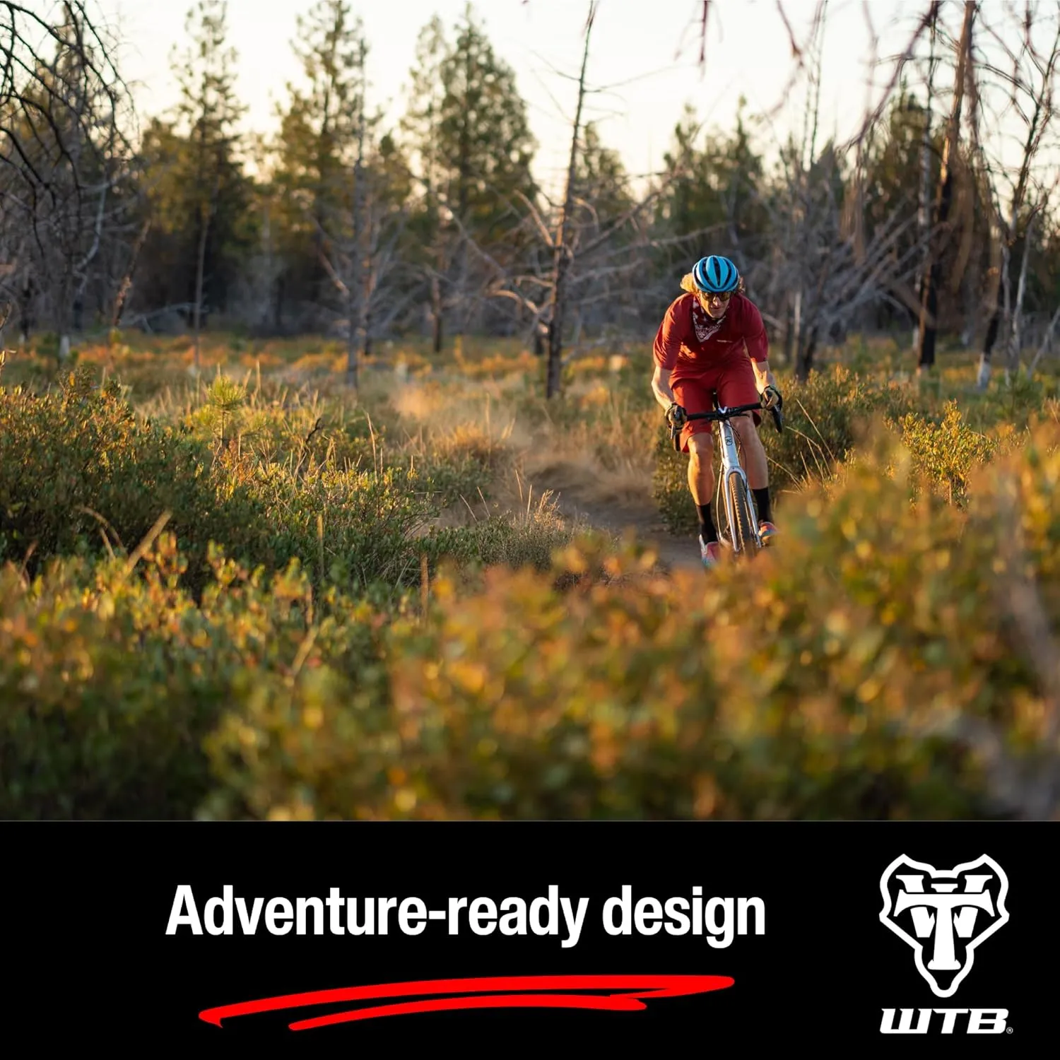 WTB Ranger Mountain Bike Tire, Tubeless Ready Folding Bead, Lightweight Fast Rolling, Available with Black or Tan Sidewalls, Dual DNA SG2 Puncture Protection, Great for Trail & Bikepacking