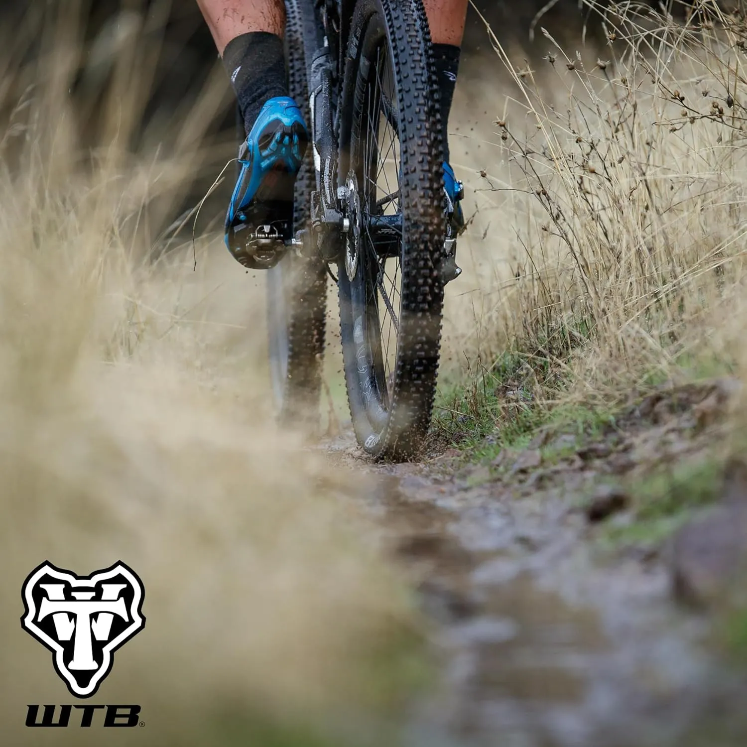 WTB Ranger Mountain Bike Tire, Tubeless Ready Folding Bead, Lightweight Fast Rolling, Available with Black or Tan Sidewalls, Dual DNA SG2 Puncture Protection, Great for Trail & Bikepacking