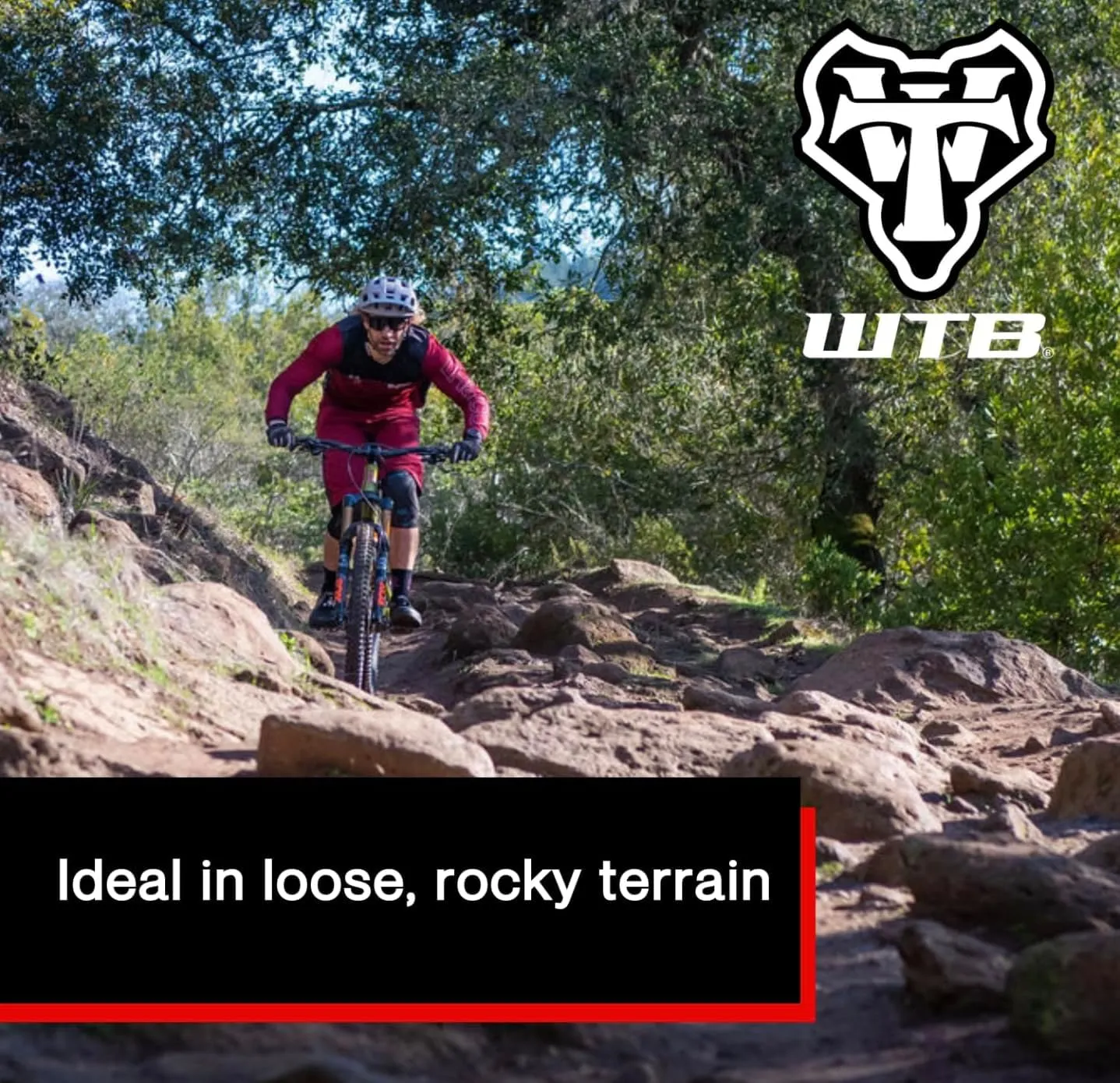 WTB Trail Boss Mountain Bike Tire, Tubeless Ready Folding Bead, Tough Fast Rolling, Dual DNA, Available with Black or Tan Sidewalls and SG1 or SG2 Puncture Protection, Ideal for Trail Riding